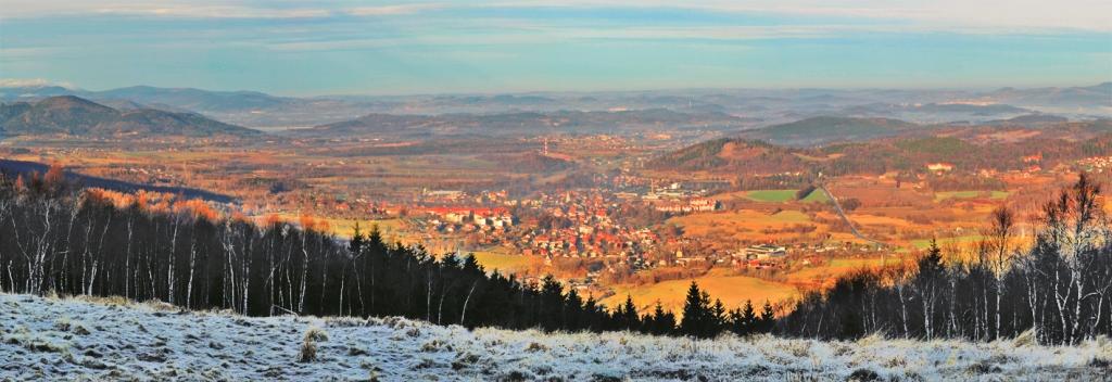 LASY NADLEŚNICTWA