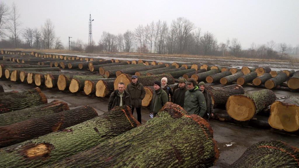 Wizyta Leśników z Nadleśnictwa Śnieżka na submisji drewna